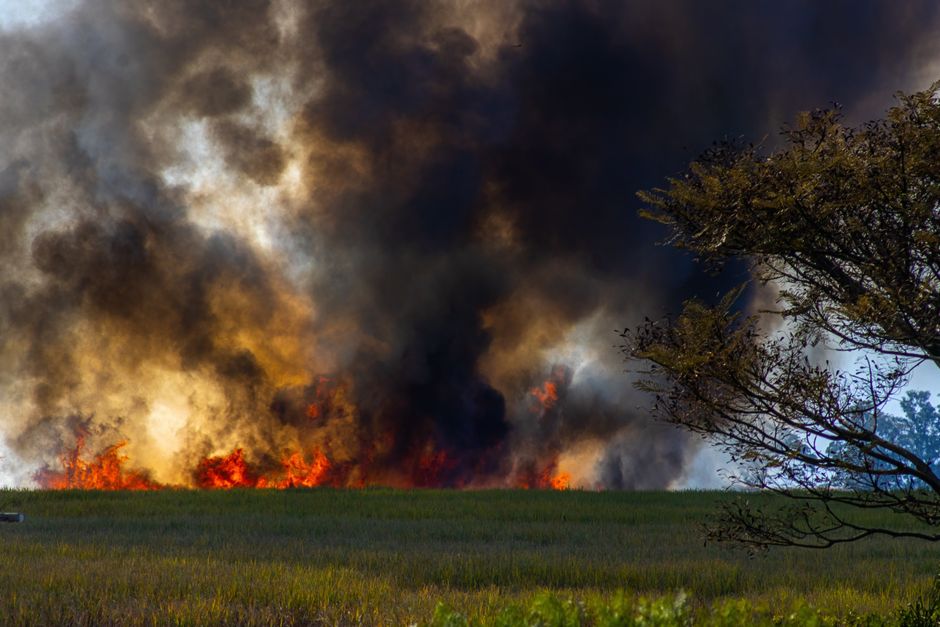 A dramatic scene of a grassland wildfire with thick smoke and bright flames engulfing the field.