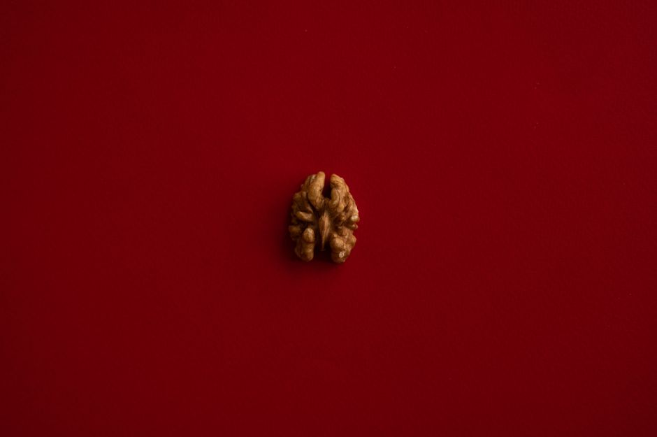 Overhead of half of walnut kernel placed in center of dark red background